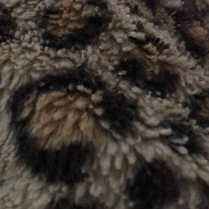 Meet your Posher, Victoria